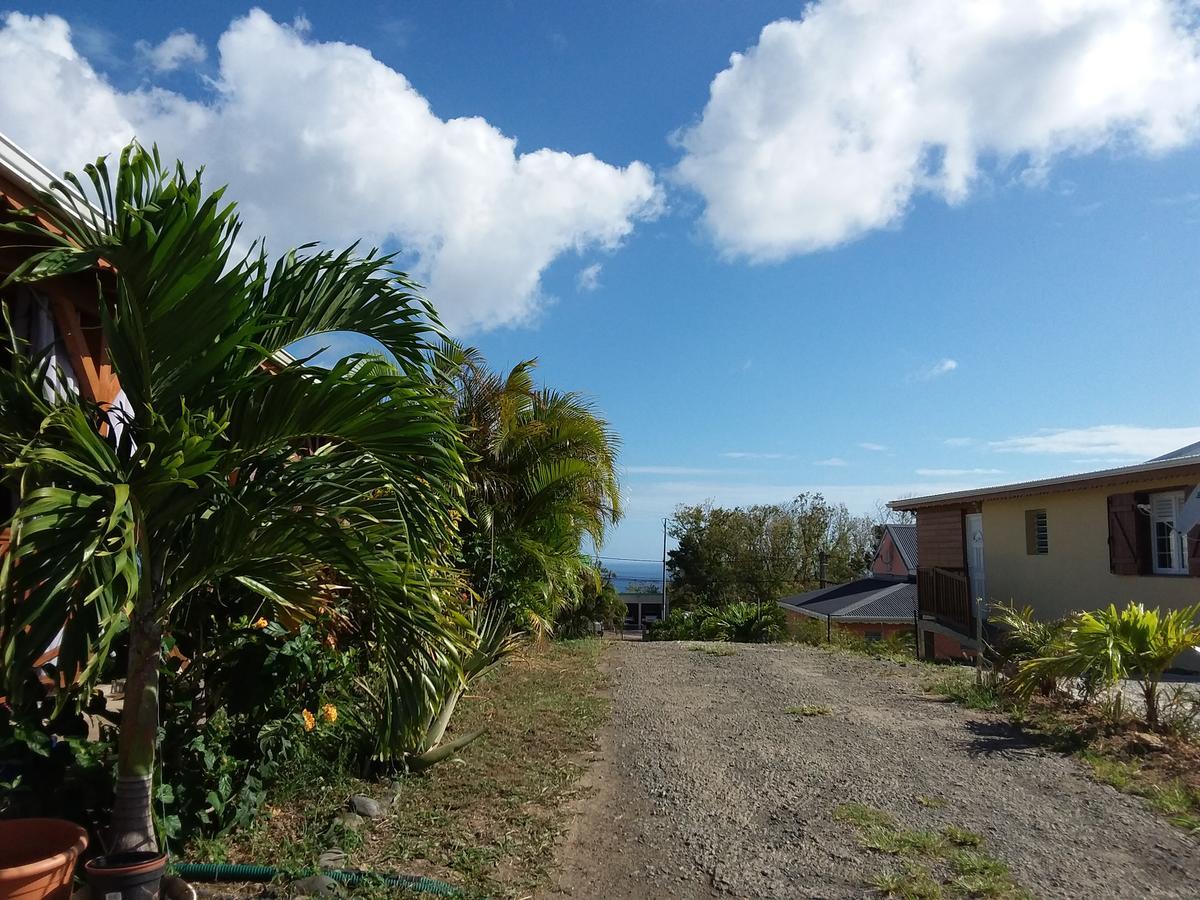 Avocatier Hébergement de vacances