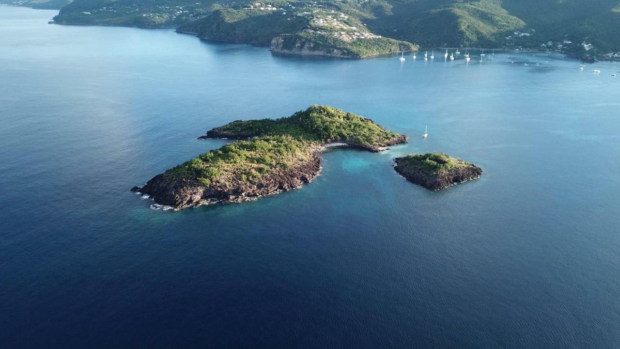 Hébergement de vacances Avocatier