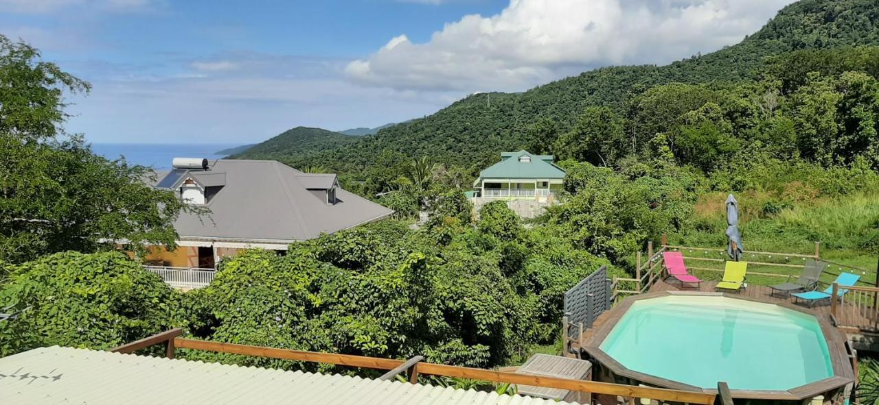 Avocatier Hébergement de vacances Bouillante